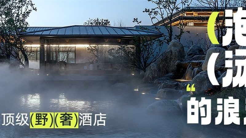 国际会议旅游交通方式选择