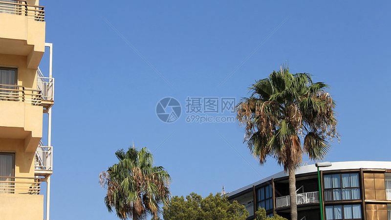亲子游攻略：避开这些误区，让旅程更愉快