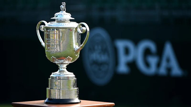 企业研学旅行定制服务，揭秘专业流程与关键要素